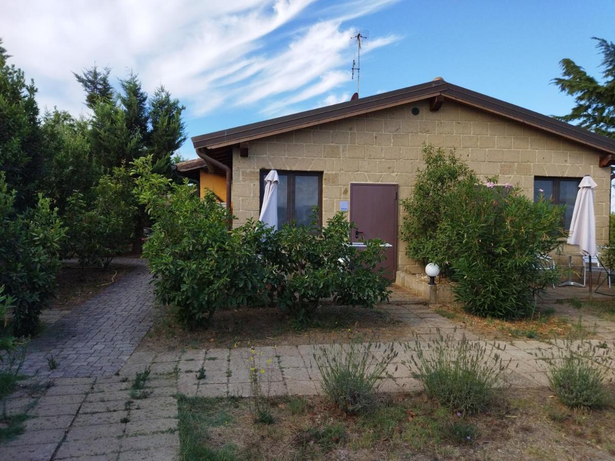 Azienda Agrituristica Le Betulle Riotorto Exterior foto
