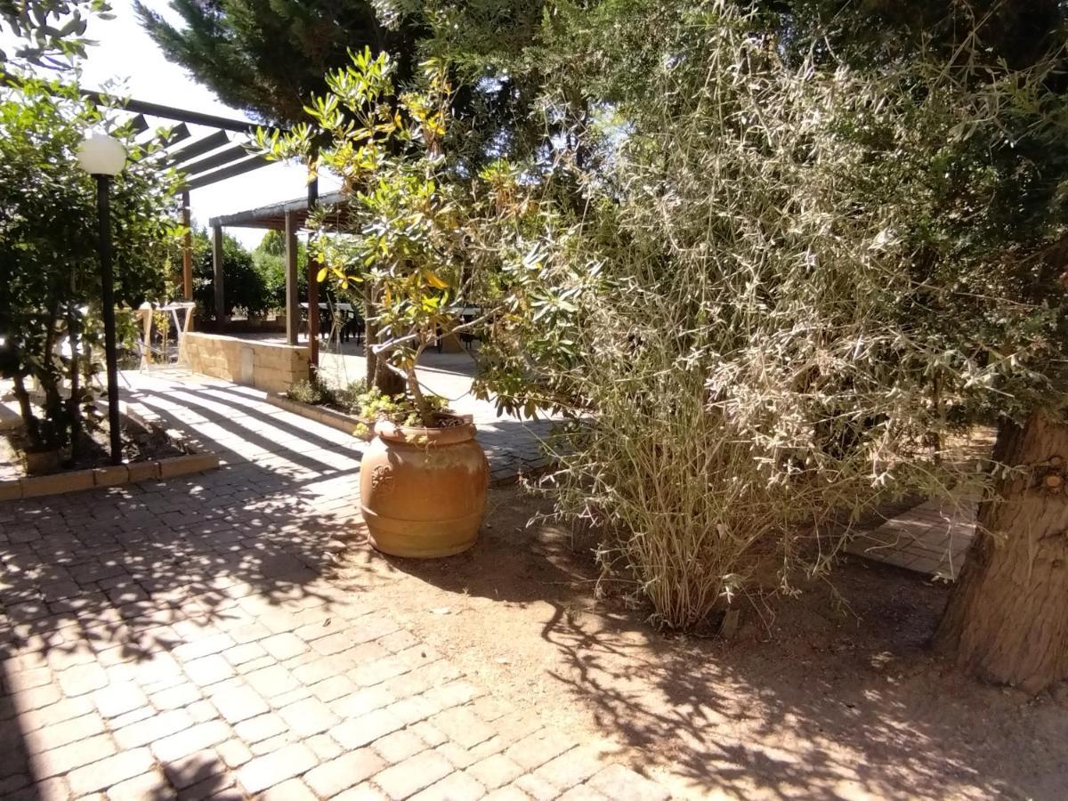 Azienda Agrituristica Le Betulle Riotorto Exterior foto