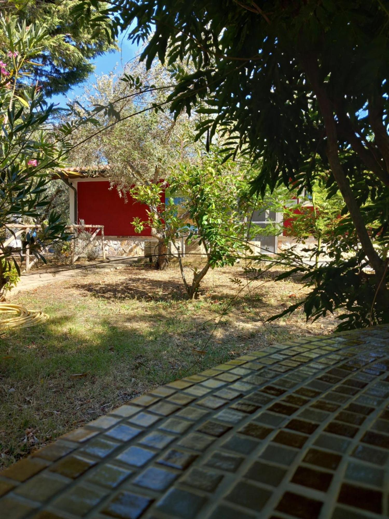 Azienda Agrituristica Le Betulle Riotorto Exterior foto