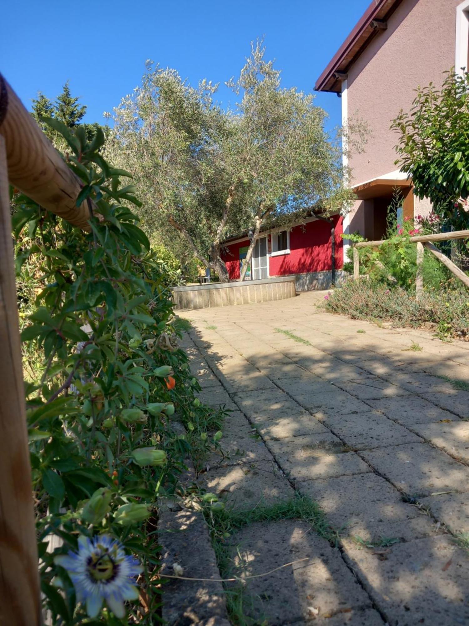 Azienda Agrituristica Le Betulle Riotorto Exterior foto